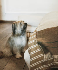 CANAL STRIPE DUVET COVERS